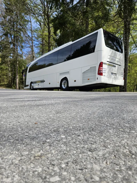 White touring coach parked beside a wooded road